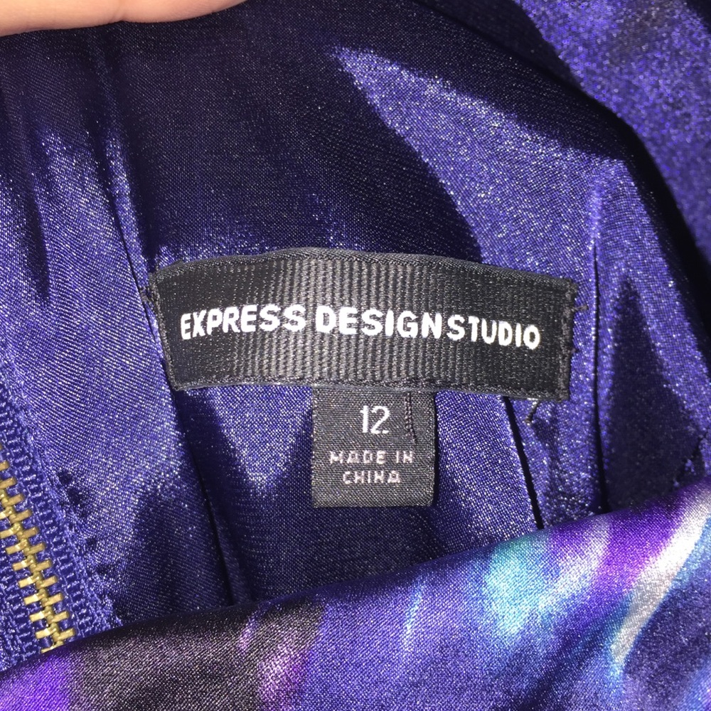 Express Dress - Picture 4 of 4